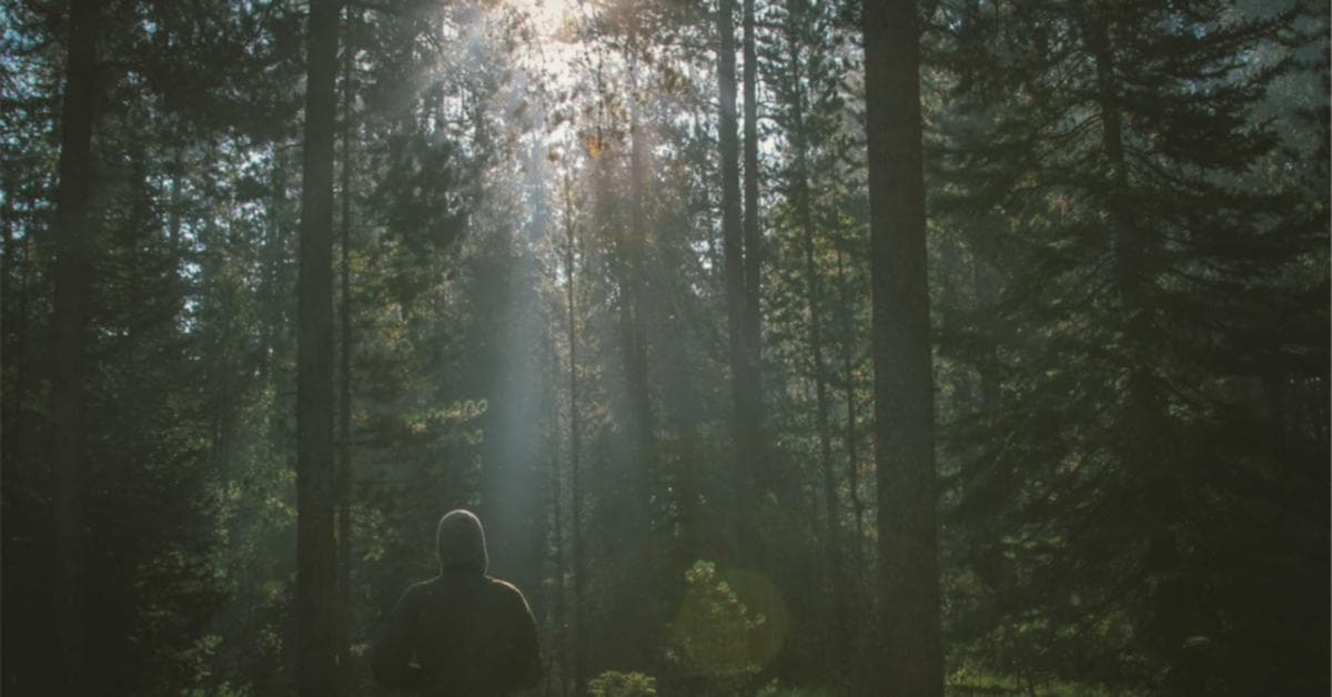 Juwai Teer archery target with hit numbers overlay