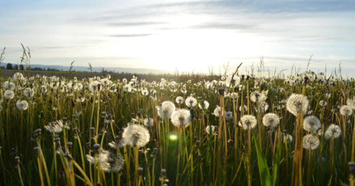 Archers aiming at a target during a Teer lottery event in Shillong, Meghalaya.