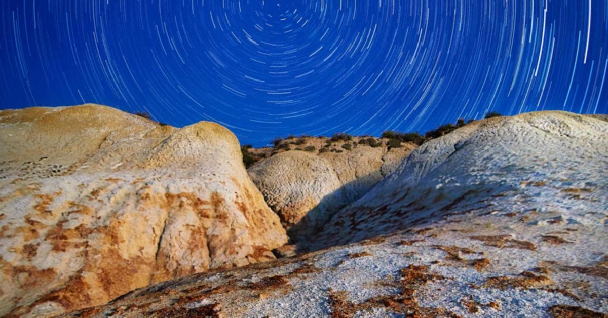 Teer archery target with result frequency chart overlay